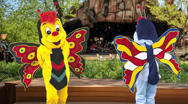 Insectes & Bestioles